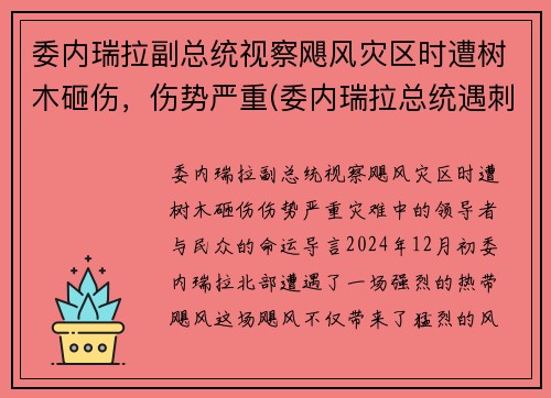 委内瑞拉副总统视察飓风灾区时遭树木砸伤，伤势严重(委内瑞拉总统遇刺)