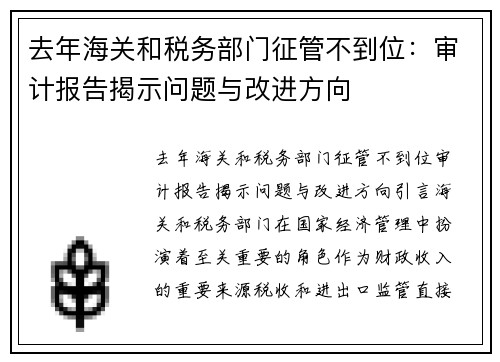 去年海关和税务部门征管不到位：审计报告揭示问题与改进方向