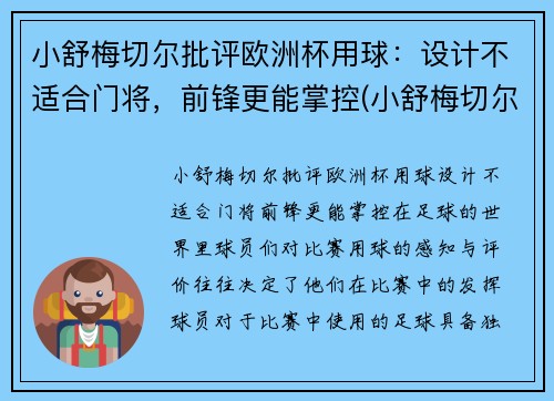 小舒梅切尔批评欧洲杯用球：设计不适合门将，前锋更能掌控(小舒梅切尔英冠进球)